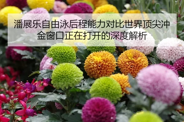 潘展乐自由泳后程能力对比世界顶尖冲金窗口正在打开的深度解析